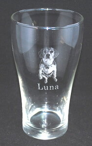 r[ɍœKȃKXRbv420@ʐ^T[rX@ybgʐ^@G@菑@XPb`