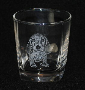 ʐ^!!@IUbN11IXOX ̓A̓v[g