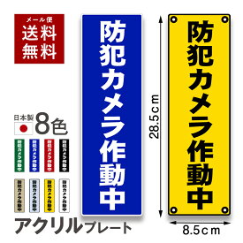【〜12:00注文で当日発送】 防犯プレート 防犯カメラ作動中 アクリル看板 セキュリティ 大きすぎない 屋外使用可 耐久 耐候 日本製 簡単 防犯効果 アクリル 吸盤 取付穴 ダミープレート サインプレート 不審者 空き巣 万引き 防犯対策