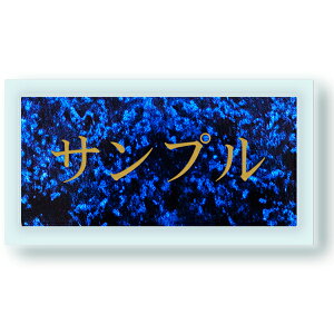 y`12:00œz \D KXAN t  ʃe[vt \邾 V[ v[g }V ˌ  Ŕ   Vv  񐢑 O lC XeX