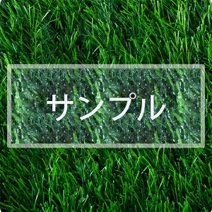 y`12:00œz  jtH[ L[z_[ l[v[g  Oy1OKzc LOi 싅 TbJ[ o[ ejX oXP 싅 oh~g  St {[