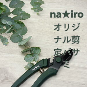 ⌹ nairo̙oT~n Ԑ؂͂ nhNG[V ԉ ͂   iC Ԃ΂ ԃnT~ ԃoT~ Ԃ͂ oT~ ΂