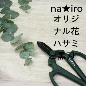 ⌹ nairỏԂ͂ݍn Ԑ؂͂ nP[Xt nhNG[V ԉ ͂   iC Ԃ΂ ԃnT~ ԃoT~ Ԃ͂