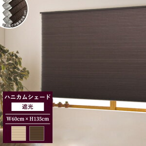 v[cXN[ njJuCh Ռ J[e[ a  ̌  Ռ^Cv Kii (60×135cm) tlX