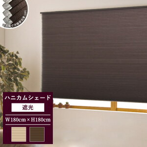 yő做10%ItN[|z v[cXN[ njJuCh Ռ J[e[ a  ̌  Ռ^Cv Kii (180×180cm) tlX