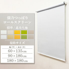 【スーパーSALE10%オフ】 ロールスクリーン ロールカーテン 既製品 強力つっぱり 取り付け 簡単 おしゃれ 突っ張り式 間仕切り DIY 賃貸 無地 北欧 安い おすすめ