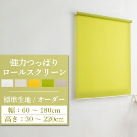 【最大★10%オフクーポン】 ロールスクリーン ロールカーテン オーダー 強力つっぱり 取り付け 簡単 おしゃれ 突っ張り式 間仕切り DIY 賃貸 無地 北欧 安い おすすめ