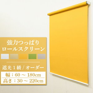 yő做10,000~ItN[|z [XN[ [J[e I[_[ Ռ1 ͂ς t ȒP  ˂莮 Ԏd؂ DIY  n k  