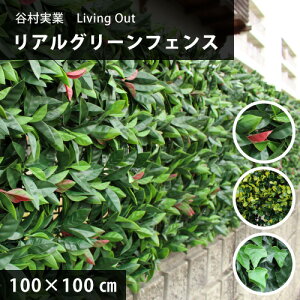 AO[tFX 1m×1m y1Pʁz J