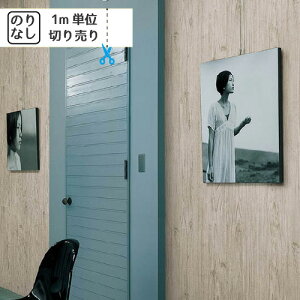 yő做10,000~ItN[|z ǎ NX Y ̂Ȃ J Cg LL-8812uK ؖ ؖڒ Ζ lCo^v y1mPʂł̂z