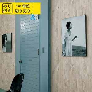 yő做10,000~ItN[|z ǎ NX Y ̂t ̂ J Cg LL-8812 uK ؖ ؖڒ Ζ lCo^v y1mPʂł̂z