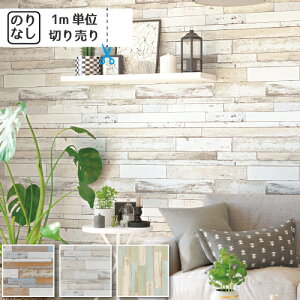 yő做10,000~ItN[|z ǎ ANZgNX Y ̂Ȃ TQc t@C ؖ FE6229 y1mPʂłz