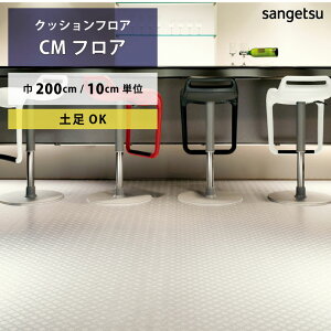 yX[p[SALEzȉzNbVtA yΉ `FbJ[v[g2 CM-12254 TQc HOME FLOOR CMtA 202509sale-1