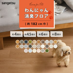 yő做10,000~ItN[|z NbVtA 4p 4.5p 6p 8p ɂLtA TQc 182cm ʏTCY