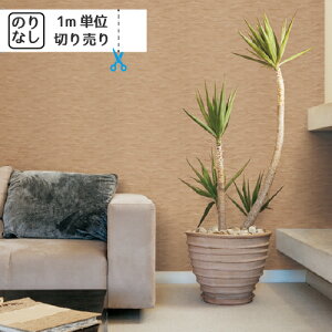 yő做10,000~ItN[|z ǎ NX Y ̂Ȃ gL pCu TWP2250 uK ؖ ؖڒ Ζ lCo^v y1mPʂł̂z