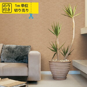 yő做10,000~ItN[|z ǎ NX Y ̂t ̂ gL pCu TWP2250 uK ؖ ؖڒ Ζ lCo^v y1mPʂł̂z