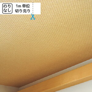 yő做10,000~ItN[|z ǎ NX Y ̂Ȃ gL pCu TWP2294 uK ؖ ؖڒ Ζ lCo^v y1mPʂł̂z