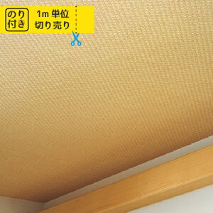 yő做10,000~ItN[|z ǎ NX Y ̂t ̂ gL pCu TWP2294 uK ؖ ؖڒ Ζ lCo^v y1mPʂł̂z