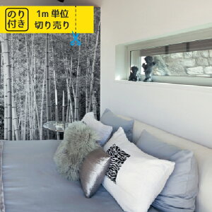 yő做10,000~ItN[|z ǎ NX Y ̂t ̂ gL pCu TWP2366 uK ؖ ؖڒ Ζ lCo^v y1mPʂł̂z