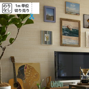 yő做10,000~ItN[|z ǎ NX Y ̂Ȃ gL pCu TWP2707 TWP2708 TWP2709 uK ؖ ؖڒ Ζ lCo^v@y1mPʂł̂z