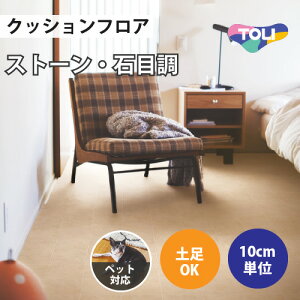 yő做10,000~ItN[|z NbVtA ybgΉ y Ζڒ  y1mȏ10cmPʁz i`hC^C CF3566