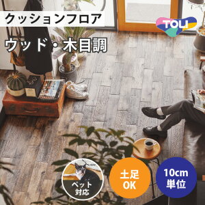 yő做10,000~ItN[|z NbVtA ybgΉ y ؖڒ  y1mȏ10cmPʁz GCWhEbh CF3522