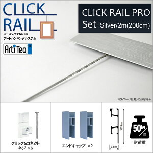 �N���b�N���[���E�v��/�V���o�[ 2m �s�N�`���[���[�� �z�݃��[�� CL-07418�y�����ʏ��i�z ���[�\���E�W���[��