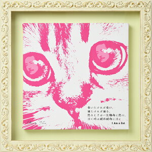 DH i͂肽j wI am catxiTCYF 240p z