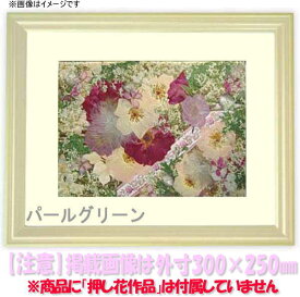 楽天市場 押し花 グリーンの通販