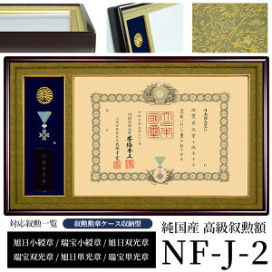 YMz NF-J-2 ML@F594×420mmp MM̓P[X[^ OUVJbgANdl ̃LZEԕis