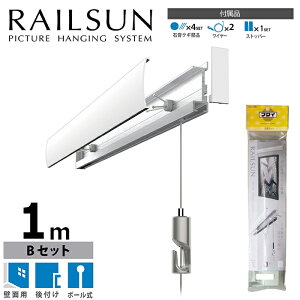 ΍p{[hp[TBZbg 100cm/zCgiC[̓Vo[Fłj {[C[ݕt i؃lWtjWRS-100Bǖʗp sN`[[&C[݃Zbg H