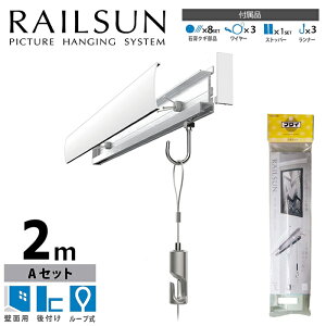 ΍p{[hp[TAZbg 200cm/zCgiC[Ei[ƂɃVo[Fłj C[ݕti؃lWtjʏiWRS-200A ǖʗp sN`[[&C[