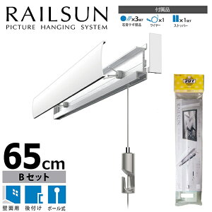 ΍p{[hp[TBZbg 65cm/zCgiC[̓Vo[Fłj {[C[ݕti؃lWtj WRS-65B ǖʗp sN`[[&C[݃Zbg H