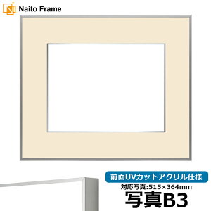 写真用額縁 NS002/シルバー(07-FS33) 写真B3(515×364mm)専用 前面UVカットアクリル仕様 マット付き