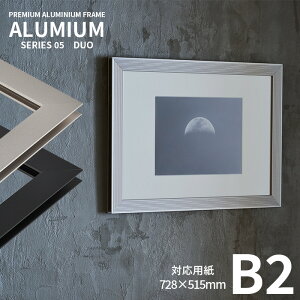 |X^[t[ A~A fI B2TCYi728×515mmj Vo[/ubN OUVJbgANdl ALUMIUM SERIES [DUO] Ai