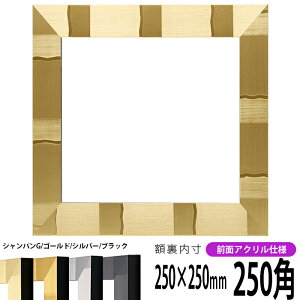 ` z GX|[/VpS[h 250p i250×250mmj OUVJbgANdl nJ`z XJ[t 25p 25cmp t[