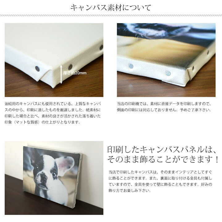 楽天市場】キャンバスプリント F3サイズ(273×220mm)無料文字入れ(名入れ)写真パネル/フォトパネル/アートパネル/記念写真やウェルカムボードに : 額縁専門店ないとう 楽天市場】キャンバスプリント F3サイズ(273×220mm)無料文字入れ(名入れ)写真パネル/フォトパネル/アートパネル/記念写真やウェルカムボードに : 額縁専門店ないとう