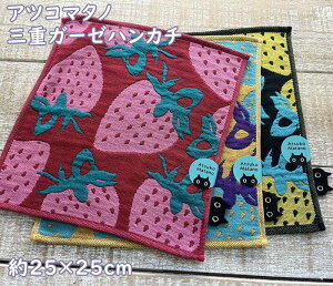 y|Xgւ́z}^mAcRE쉷q@3dK[[nJ`(25×25cmx)@EC`S@ԁEFE