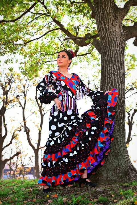 楽天市場】新ブランドnajanaja フラメンコ衣装 ワンピース 大きい 黒白  