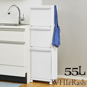 天馬(テンマ) ホワイトラッシュ 多段分別ペール55L 3段 WR-3531【北海道、沖縄への配送不可】