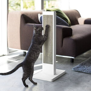 tower L̒܂ƂX^h ^[ zCg