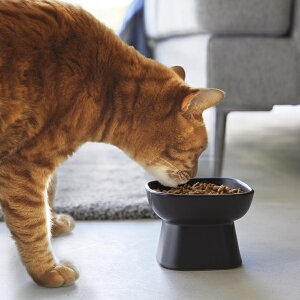 tower Hׂ₷ybgt[h{E ^[ ubN