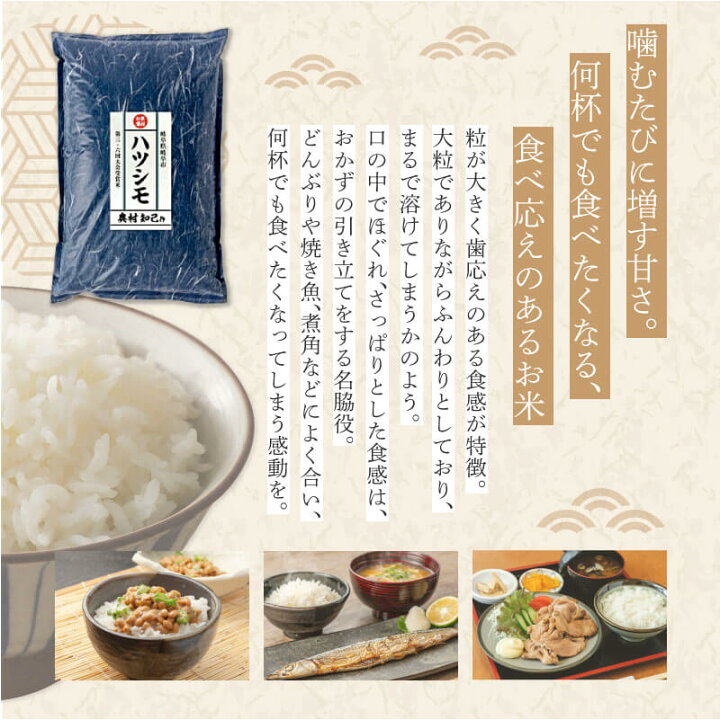 楽天市場】【お米番付受賞米 】 岐阜県産 ハツシモ 5kg 10kg 20kg 玄米 