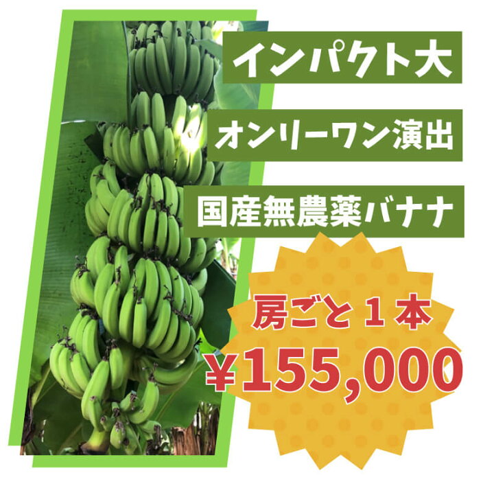 楽天市場】青いバナナ グリーンバナナ ひと房丸ごと 国産バナナ 国産無 