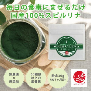 Y100 Xsi Y  ؕs HT|[g h{⋋ ^pN ~l r^~ NHi u _CGbg  X[W[ 邾 X[p[t[h Xsi 