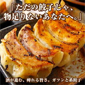 ちゃおまる 餃子 50個 100個 国産 豚肉 野菜 冷凍餃子 焼き餃子 グルメ 居酒屋 惣菜 おつまみ 晩酌 家飲み 業務用 大容量 大量 パリパリ 美味しい やみつき 大きめ 肉汁 お取り寄せ 名古屋 名古屋めし 簡単調理 ビールのつまみ 美味しいおかず 美味しい餃子 夏バテ対策