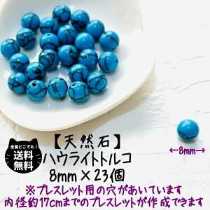 1,000~|bL VR nECggR F Ȗ ^[RCY J[ 8mm  23 Zbg J^ fB[X LbY Y eqR[f ܂ IyS uXbg  