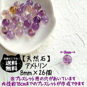 VR Ag  8mm 26 Zbg NbN  J^ fB[X LbY Y eqR[f ܂ IyS uXbg  AWXg Vg 