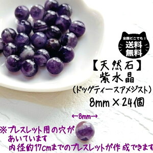 VR hbOeB[X AWXg  8mm 24 Zbg J^ fB[X LbY Y eqR[f ܂ IyS uXbg J^ rWlX 댯 