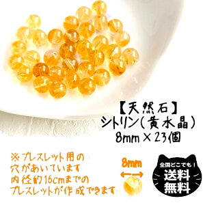 VR Vg 8mm  23 Zbg  NbN  fB[X LbY Y ܂ ^ J^ rWlX ɐ   Y nhCh uXbg  uW ` 